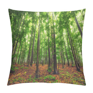 Personality  Beautiful Nature At Morning In The Misty Spring Forest With Sun  Pillow Covers