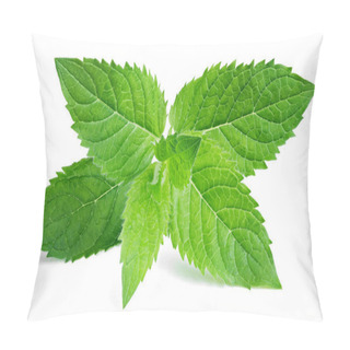 Personality  Fresh Raw Mint Leaves On White Pillow Covers