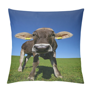 Personality  Young Cow Pillow Covers