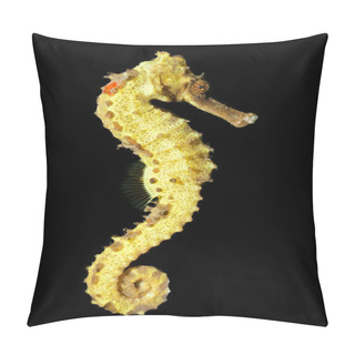 Personality  Spotted Seahorse (Hippocampus Kuda) Pillow Covers