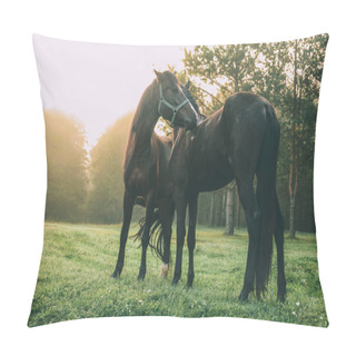 Personality  Beautiful Black Horses Grazing On Green Pasture In Altai, Russia  Pillow Covers