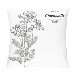 Personality  Chamomile Or Daisy Flowers Isolated On White Background. Medical Gerbs Hand Drawn. Vector Illustration Engraved. Pillow Covers