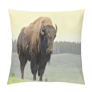 Personality  Bison In America Pillow Covers