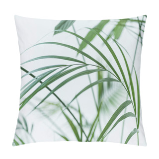 Personality  Close Up View Of Green Palm Leaves On Blurred Grey Background  Pillow Covers