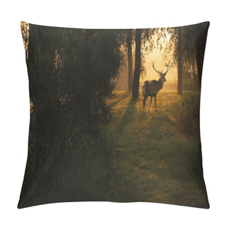 Personality  Deer In Sunset In The Forest Pillow Covers