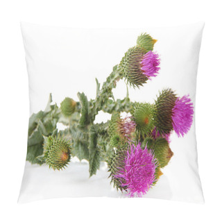 Personality  Thistle Flowers Isolated On White Pillow Covers