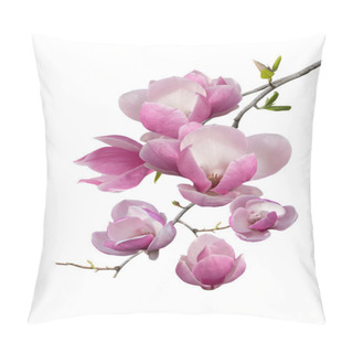 Personality  Flowering Branch Of Magnolia Pillow Covers