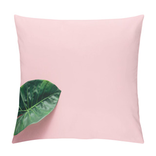 Personality  Top View Of Green Palm Leaf On Pink, Minimalistic Concept  Pillow Covers