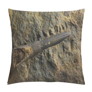 Personality  Belemnite - Fossil Clam. Pillow Covers