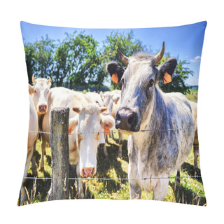 Personality  Herd Of Cows At Summer Green Field Pillow Covers