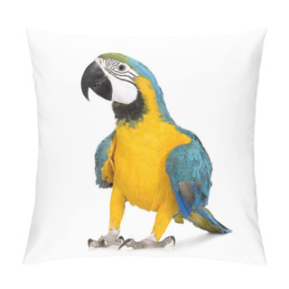 Personality  Young Blue-and-yellow Macaw - Ara Ararauna (8 Months) Pillow Covers