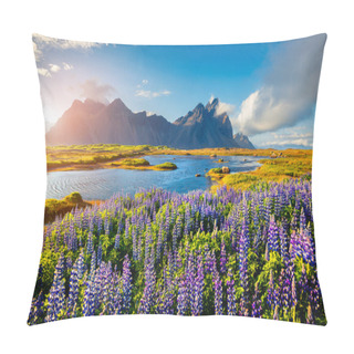 Personality  Blooming Lupine Flowers On The Stokksnes Headland On The Southeastern Icelandic Coast. Iceland, Europe. Artistic Style Post Processed Photo. Pillow Covers