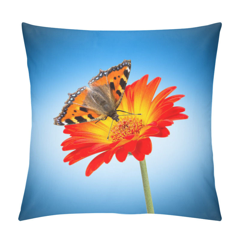 Personality  Butterlfy Flower Pillow Covers