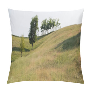 Personality  Rural Landscape With Hilly Meadow And Green Trees, Banner Pillow Covers