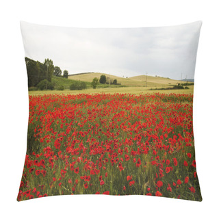 Personality  Poppies Pillow Covers