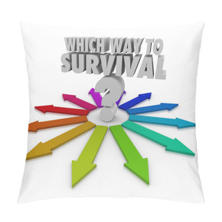 Personality  Which Way To Survival Question Arrows Pointing Way Pillow Covers