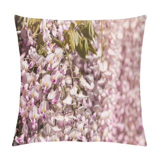 Personality  Pink Wisteria Flowers In Bloom Background Pillow Covers