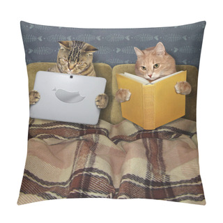Personality  Cats Resting In Bed Pillow Covers
