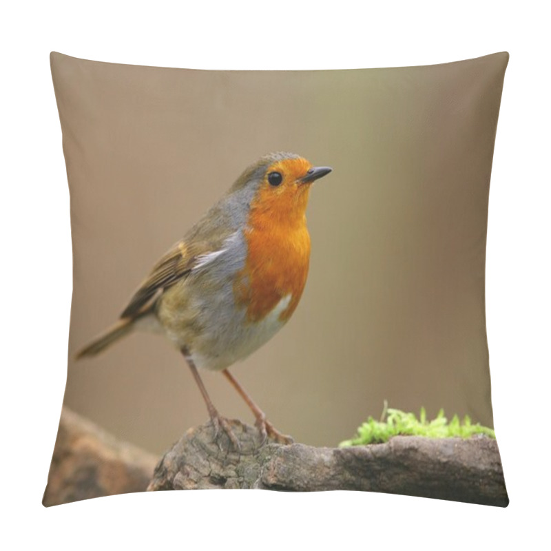 Personality  European Robin pillow covers
