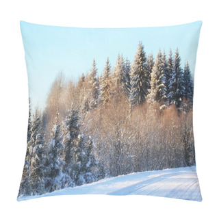 Personality  Winter Forest Landscape Sunlight Snow Pillow Covers