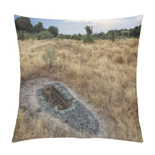 Personality  Landscape In The Barruecos Natural Area Pillow Covers