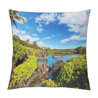 Personality  Beautiful Tropical Landscapes On Maui Island, Hawaii Pillow Covers