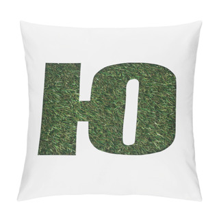 Personality  Cut Out Letter From Cyrillic Alphabet Made Of Natural Green Grass Isolated On White Pillow Covers