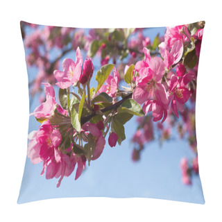 Personality  Blossoming Apple Tree Pillow Covers