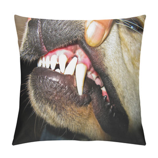 Personality  Fangs Of A Dog Pillow Covers