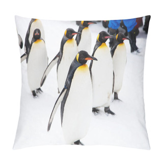 Personality  Penguins Walking In Zoo Pillow Covers