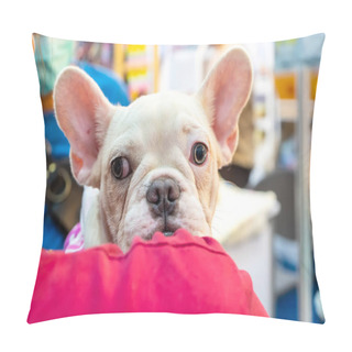 Personality  The Dog In Hand. It's Man's Best Friend. Pillow Covers