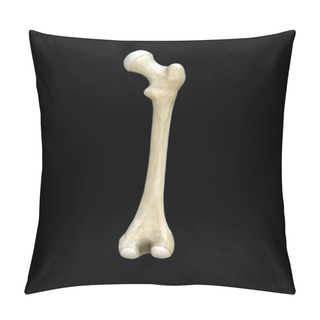 Personality  Right Human Femur Bone, Posterior View, Bone Anatomy, Black Background, 3d Rendering Pillow Covers