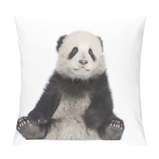 Personality  Giant Panda (6 Months) - Ailuropoda Melanoleuca Pillow Covers