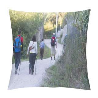 Personality  Solitary Pilgrim In Galicia (Spain) Pillow Covers