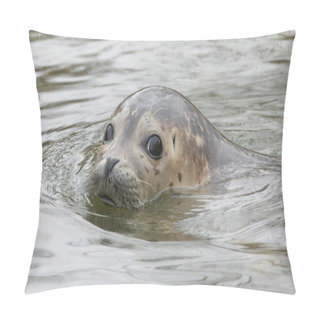 Personality  Grey Seal Swimming Pillow Covers