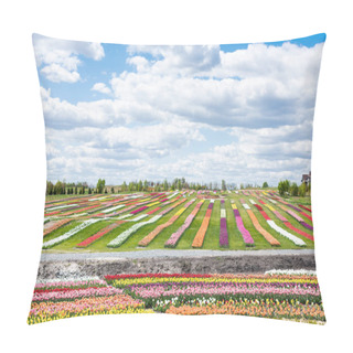 Personality  Colorful Tulips Field With Blue Sky And Clouds Pillow Covers