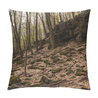Personality  Woods And Stones In Moss On Hill In Mountain Forest  Pillow Covers