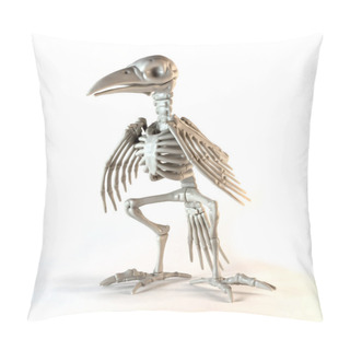 Personality  A Ancient Bird Skeleton Model On A White Background. Pillow Covers
