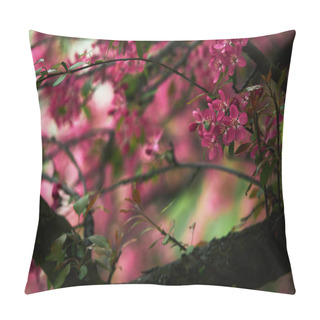 Personality  Close-up Shot Of Pink Cherry Blossom On Tree Pillow Covers