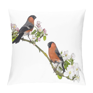 Personality  Bullfinches Perched On A Blossoming Branch, Isolated On White Pillow Covers