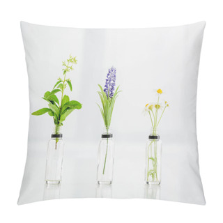 Personality  Salvia, Hyacinth And Chamomile Plants In Transparent Bottles On White Background  Pillow Covers