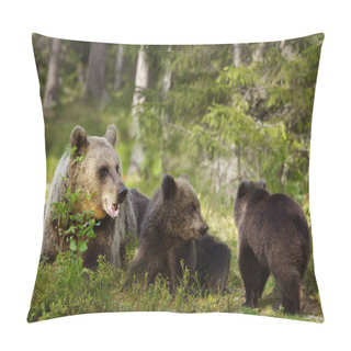 Personality  Close Up Of Female Eurasian Brown Bear (Ursos Arctos) And Her Playful Cubs In Boreal Forest, Finland. Pillow Covers