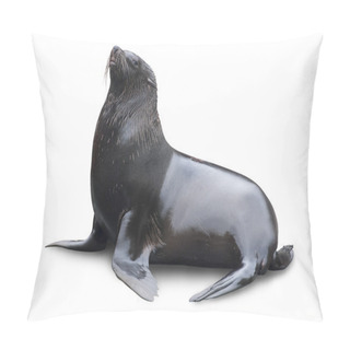 Personality  Brown Fur Seal Pillow Covers