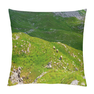 Personality  Three Sheep Walking On Valley In Durmitor Massif, Montenegro Pillow Covers