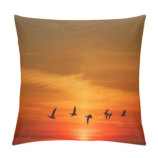 Personality  Birds Flying At Sunrise Or Sunrise Pillow Covers