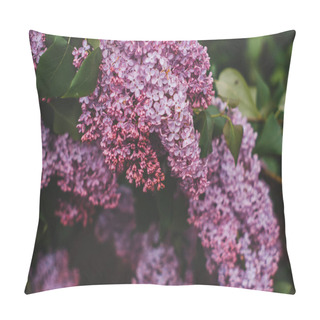 Personality  Lilac Bloom In Spring In The Rain Pillow Covers