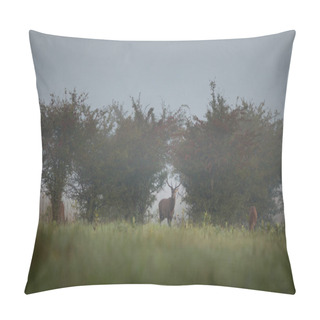 Personality  Red Deer On Foggy Morning Pillow Covers