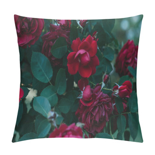 Personality  Close Up View Of Red Rose Flowers Pillow Covers