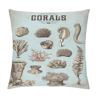 Personality  Sea Set - Corals, Sponges Pillow Covers