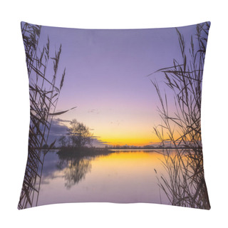 Personality  Silhouette Of Reed At Serene Lake Pillow Covers